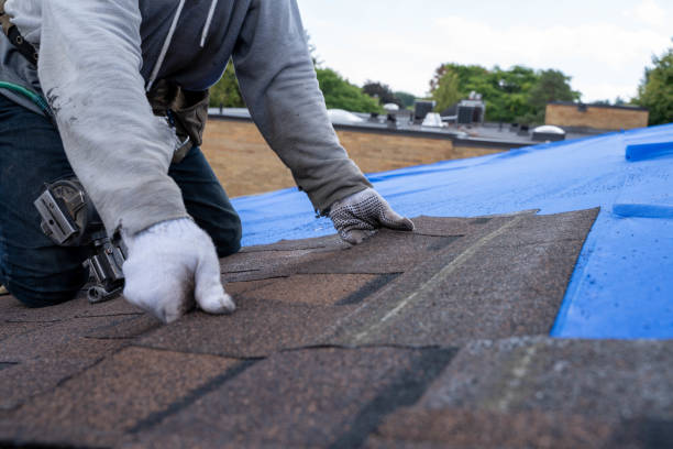 Best Roof Leak Repair  in Bylas, AZ