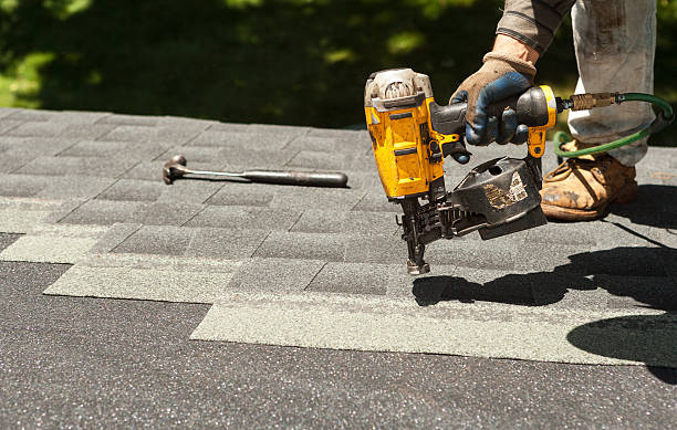 Best Roof Gutter Cleaning  in Bylas, AZ